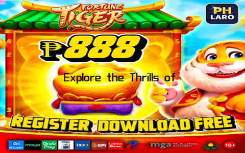 Explore the Thrills of Elite Gaming Experience